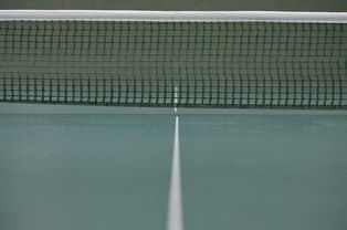 开云体育app-法国乒乓球队强势战胜韩国，张继科关键制胜助力成功